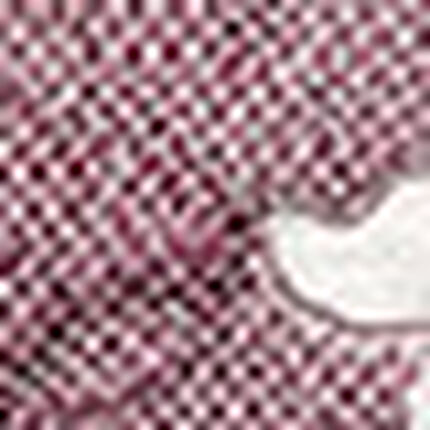 ショーツ, , swatch