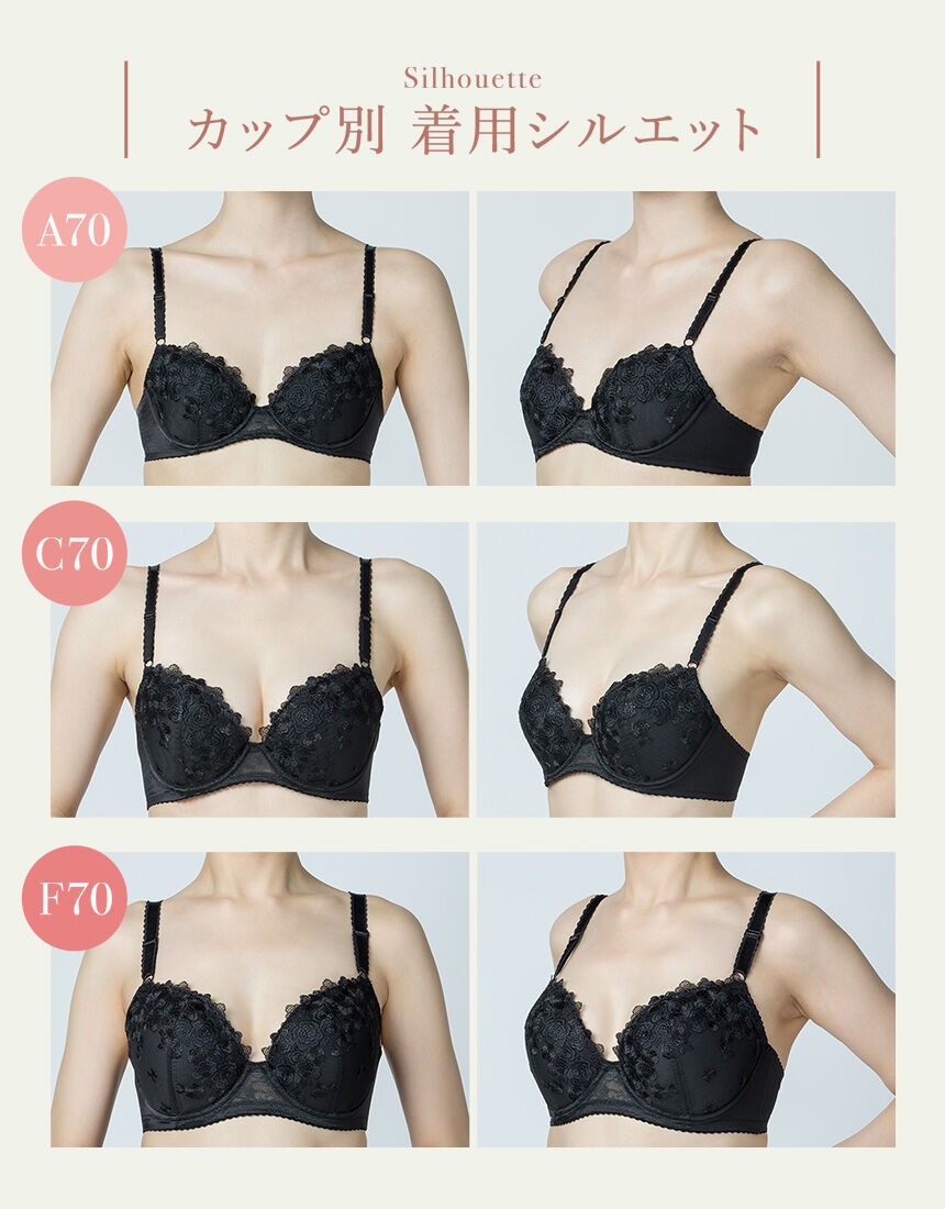 ウイング ラクなのに、ほどよく盛れる。【ナチュラルアップブラ】 3