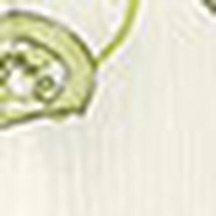 パジャマ, , swatch