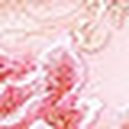 メンズＴバック, , swatch