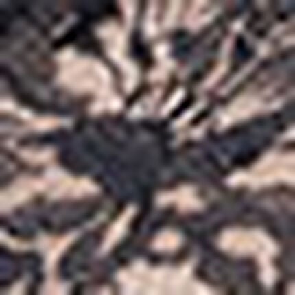 ショーツ, , swatch