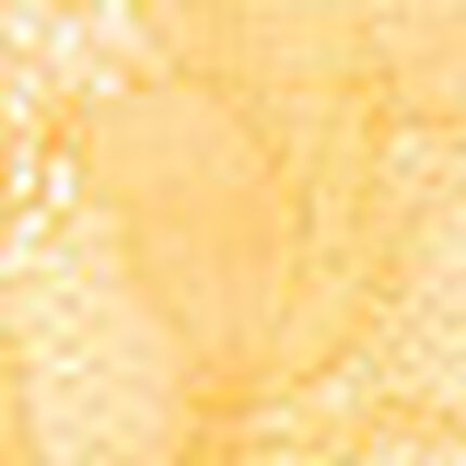 ショーツ, , swatch