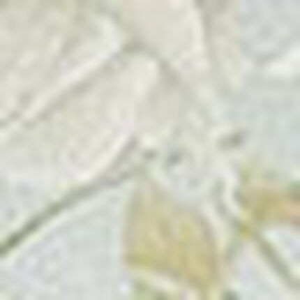 ボーイレングスショーツ, , swatch