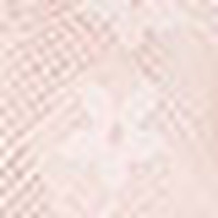 Ｔバックショーツ, , swatch