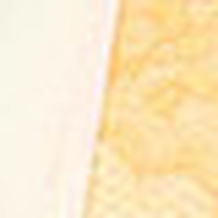 サニタリーショーツ, , swatch