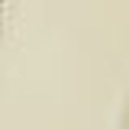 キャミソール, , swatch