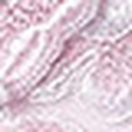 Ｔバックショーツ, , swatch