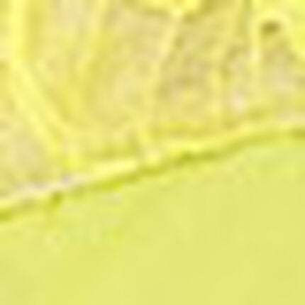 ボーイレングスショーツ, , swatch