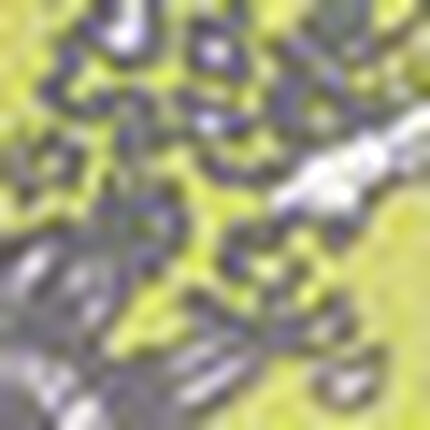 ボクサーブリーフ（ローライズ）, , swatch