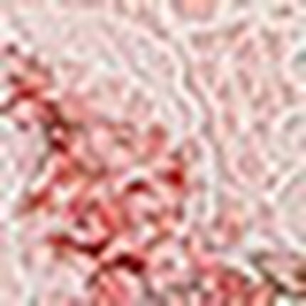 ３／４カップブラ（ノンワイヤーブラ）, , swatch