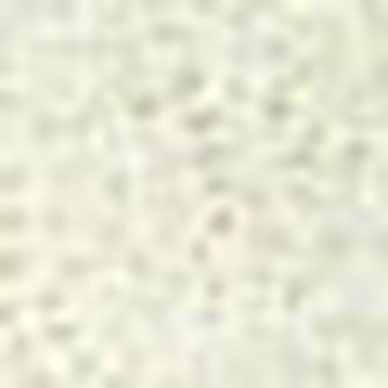 Ｔバックショーツ, , swatch