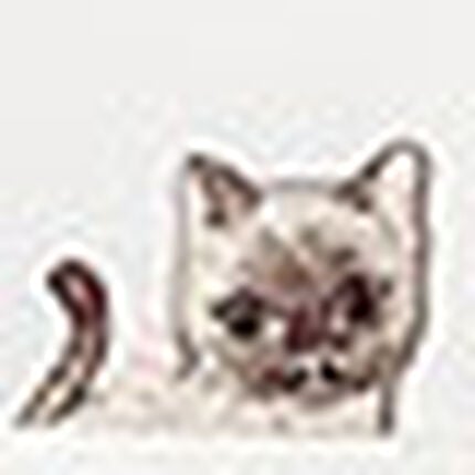 パジャマ, , swatch