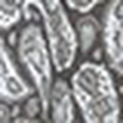 ペイズリー柄ブラウザー, , swatch