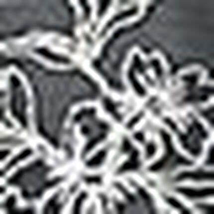 ショーツ, , swatch