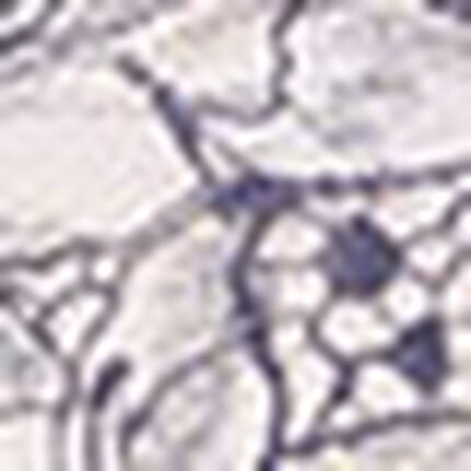 ブラ＆ショーツセット, , swatch