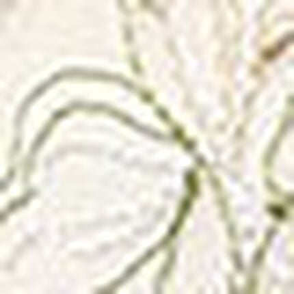 ３／４カップブラ, , swatch