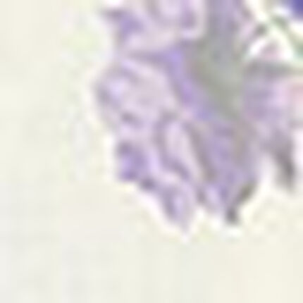 パジャマ, , swatch