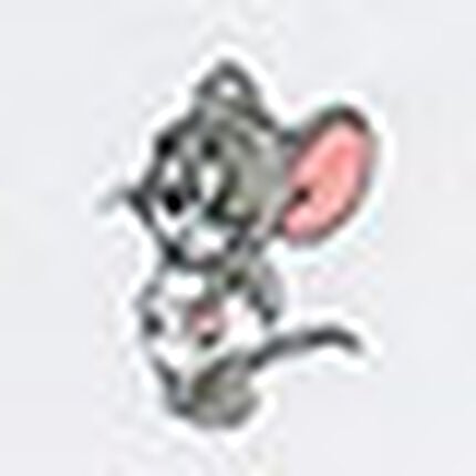 Ｔシャツ, , swatch