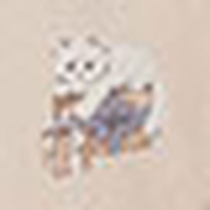 パジャマ, , swatch