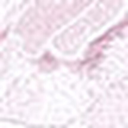 ３／４カップブラ, , swatch