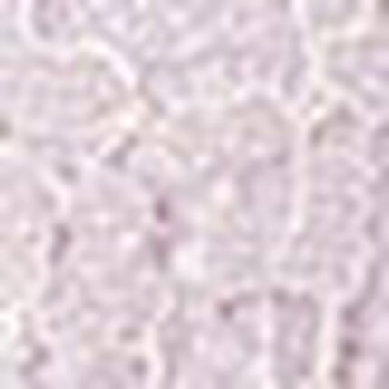 ３／４カップブラ, , swatch