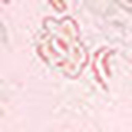 パジャマ, , swatch