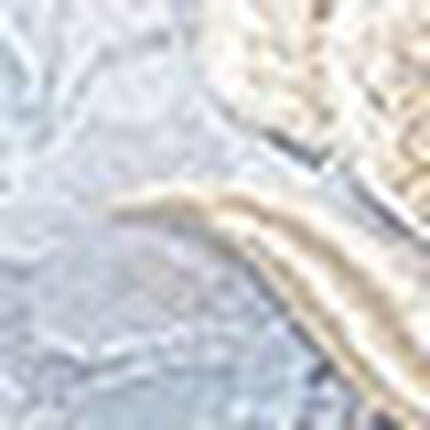 ガーターベルト, , swatch