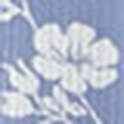 高島楊柳キャミ, , swatch