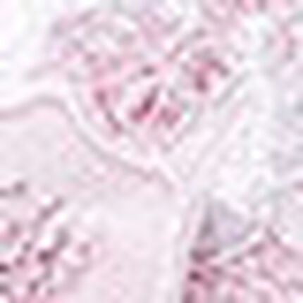 Ｔバックショーツ, , swatch