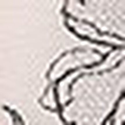 ショーツ, , swatch