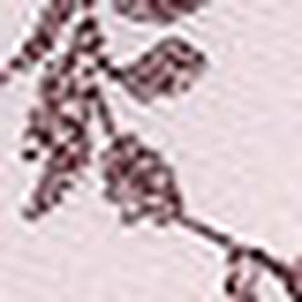 ４／５カップブラ, , swatch