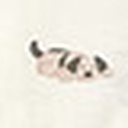 パジャマ, , swatch