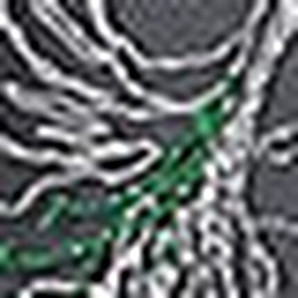 ショーツ, , swatch