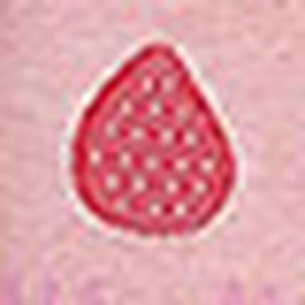 パジャマ, , swatch