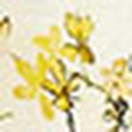 フラワープリントロングチュニック, , swatch