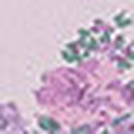 プリントトップブラ, , swatch