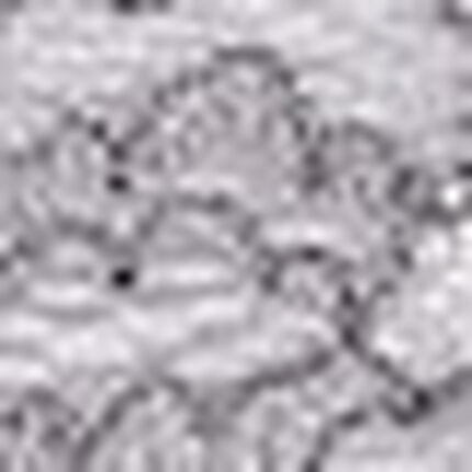 ショーツ, , swatch