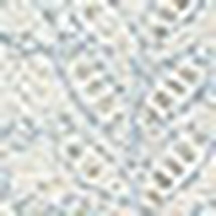 ショーツ, , swatch