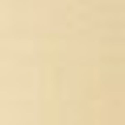 カップ付きインナー, , swatch