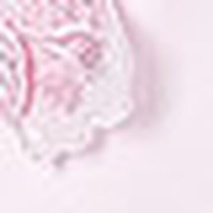 ネグリジェ, , swatch