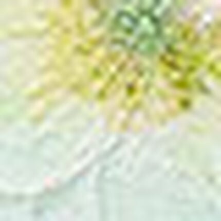 ボーイレングスショーツ, , swatch