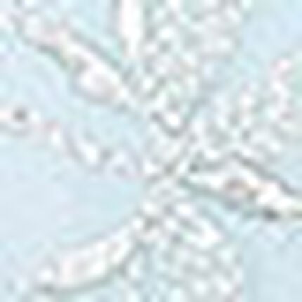 フルカップブラ, , swatch