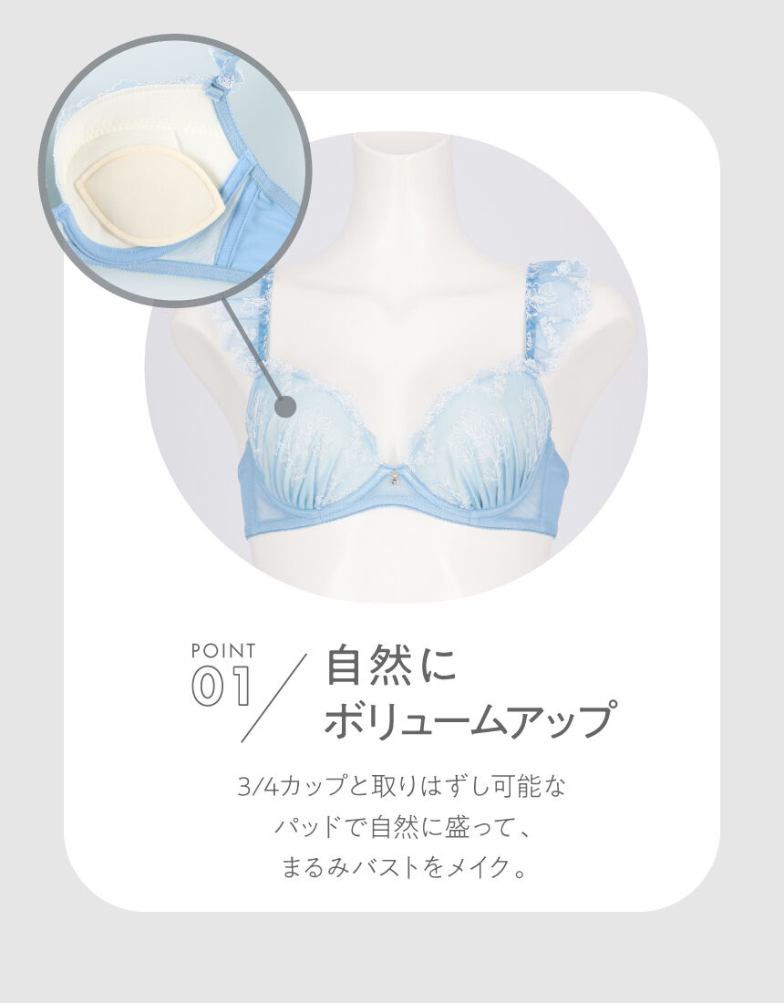 ワイヤーブラ（３／４カップ）, , hi-res