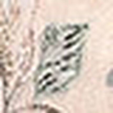 ワイヤーブラ（３／４カップ）, , swatch