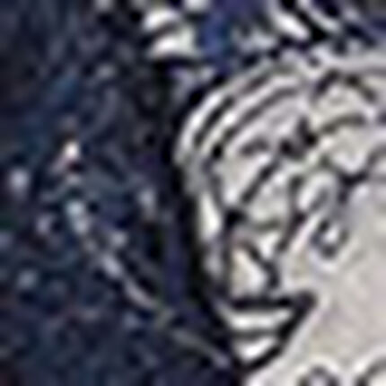 Ｔバックショーツ, , swatch