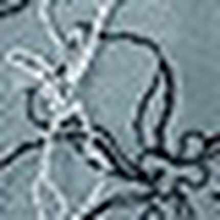 サニタリーショーツ, , swatch