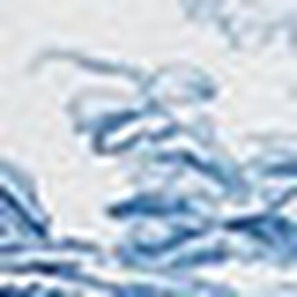 ノンワイヤーブラ, , swatch