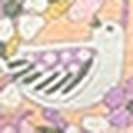 ノンワイヤーブラ, , swatch