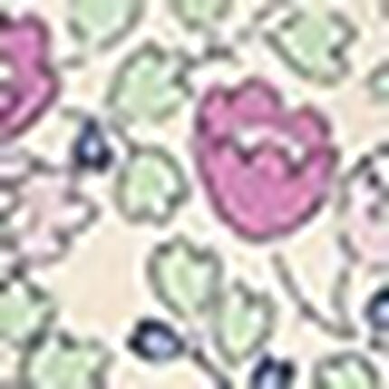 ショーツ, , swatch
