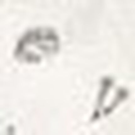 マタニティパジャマ, , swatch